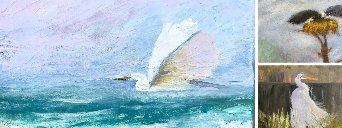 Wildlife & Birds