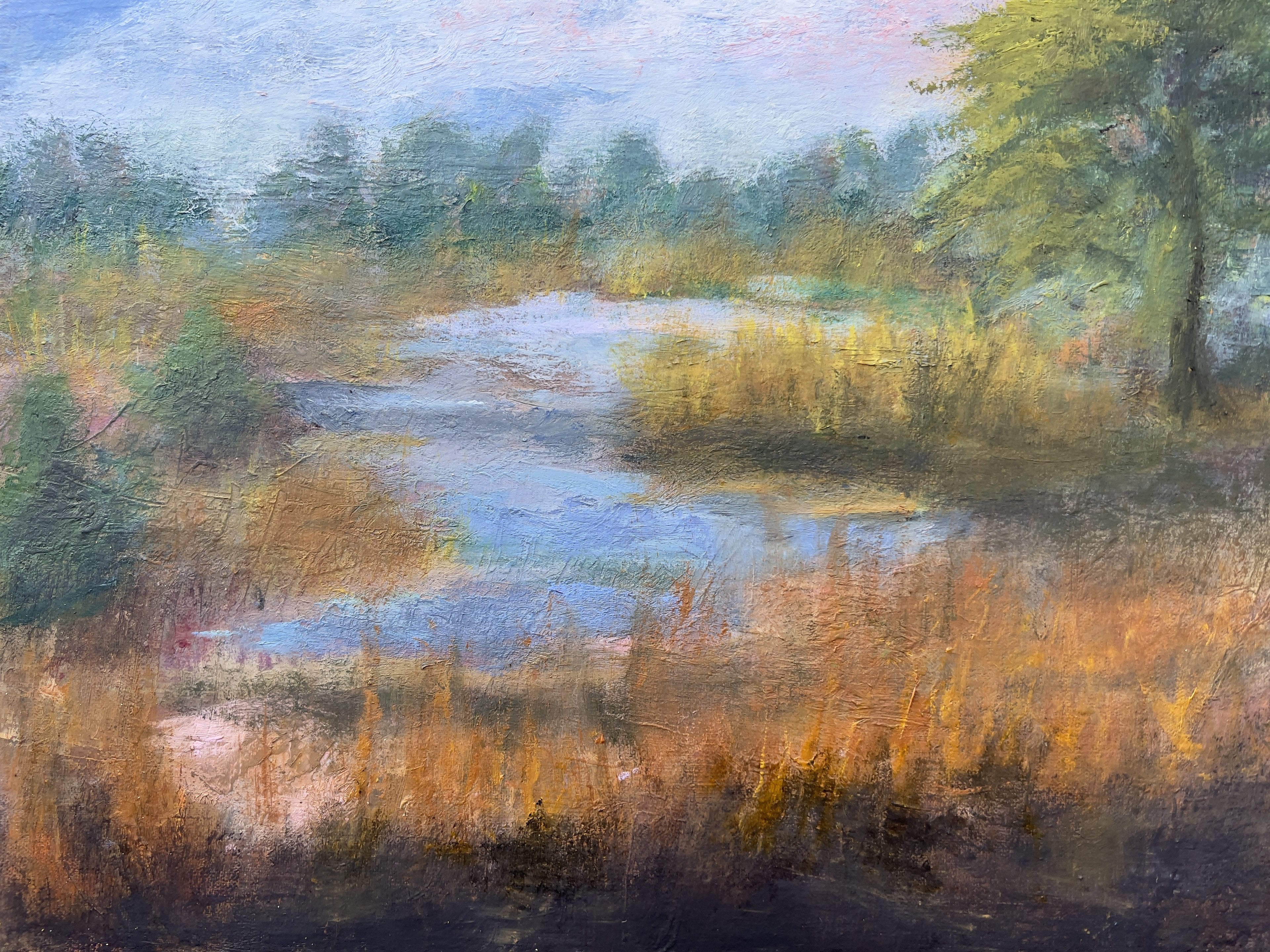 A Field of Color — Fine Art Print