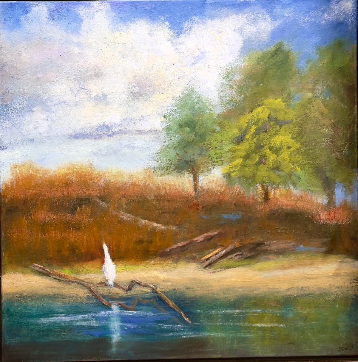 Touch of White Beside the Still Waters