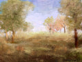 Field of Color — Original Artwork