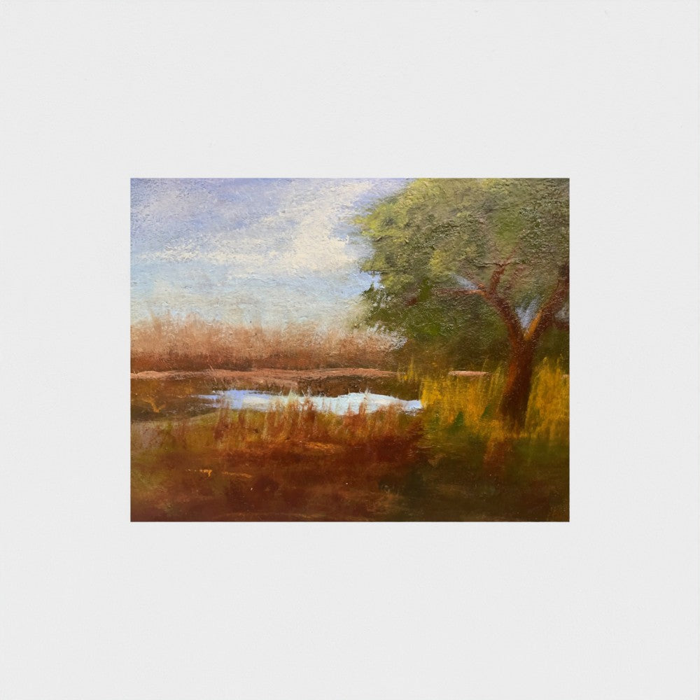 Beneath a Pastel Canopy — Fine Art Print