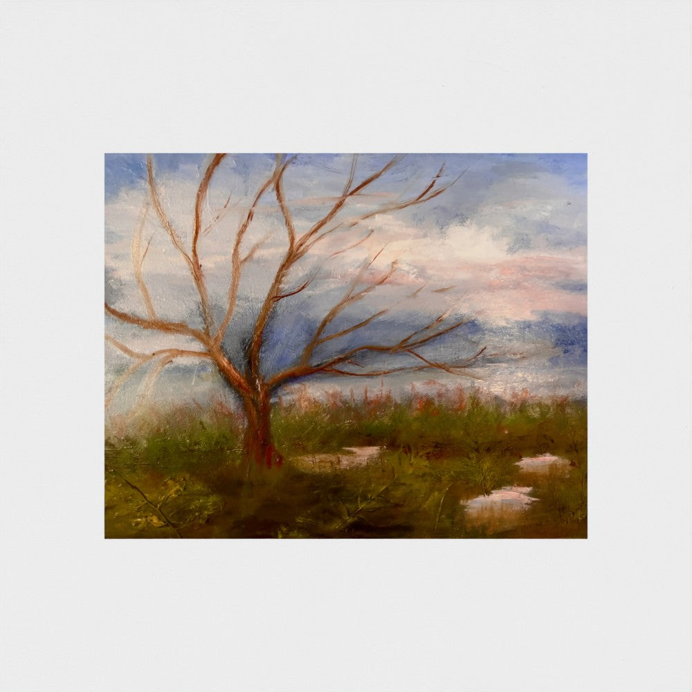 Breath of Fresh Air - Fine Art Print